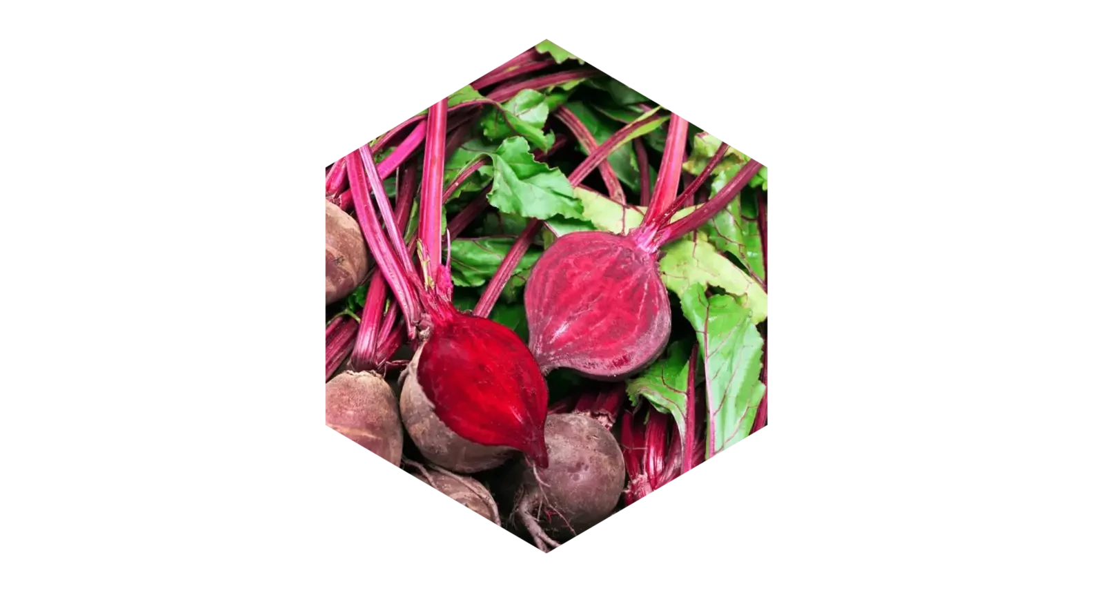 Anti-inflammatory
